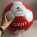 Гигантский мяч GIANT ball