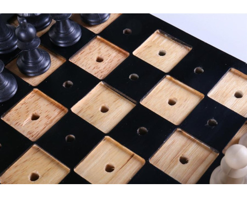 Шахматы для слепых и слабовидящих людей