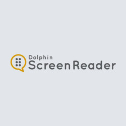 Программа экранного доступа для слепых Dolphin ScreenReader
