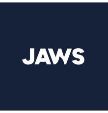 Программа экранного доступа для слепых JAWS (Freedom Scientific)